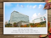 가을 향기 가득한 삼성디스플레이 기흥 캠퍼스