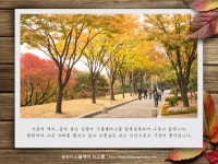 가을 향기 가득한 삼성디스플레이 기흥 캠퍼스