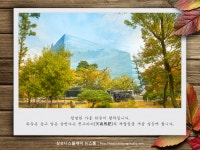 가을 향기 가득한 삼성디스플레이 기흥 캠퍼스