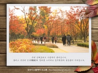 가을 향기 가득한 삼성디스플레이 기흥 캠퍼스