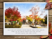 가을 향기 가득한 삼성디스플레이 기흥 캠퍼스