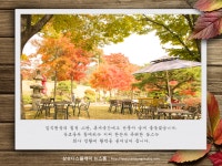 가을 향기 가득한 삼성디스플레이 기흥 캠퍼스