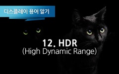 [디스플레이 용어 알기] 12. HDR (High Dynamic Range)