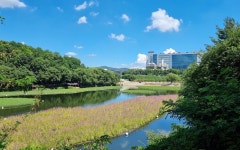 삼성디스플레이, 수자원 보호 위해 친환경 생태 식물섬 조성