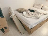 한국일보 : 포커스 취재 > 동물이 건강한 집