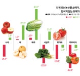 다시 불붙는 구글세 논의... 도입까진 산 넘어 산 다시 불붙는 구글세 논의... 도입까진 산 넘어 산 | 한국일보