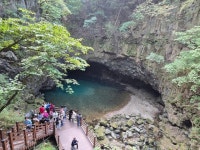 한국일보 : 포커스 취재 > 수도권