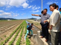 경북 임신부라면 영주 풍기온천리조트는 무료 | 한국일보