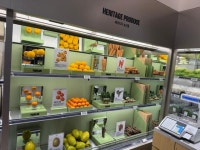 최대한 빨리 찾고 빨리 잡는다...IoT 덫 으로 빈대 잡는다 | 한국일보 세스코가 개발한 빈대 가장 빨리 잡는 IoT 덫 | 한국일보