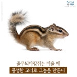 [애니팩트] 줄무늬 다람쥐는 더울 때 꼬리로 그늘을 만든다-라이프ㅣ한국일보