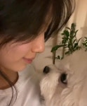 수지, 오늘도 열일하는 미모 “강아지와 뽀뽀 밀당”-문화ㅣ한국일보