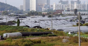 부산 강서구 등 그린벨트 15곳 해제… 환경평가 1등급까지 풀어 산단 조성 | 한국일보