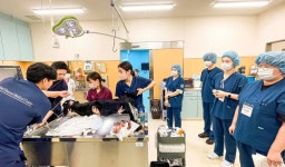 영진전문대 동물보건과 일본서 개강... 반려동물 선진 시스템 체험 | 한국일보