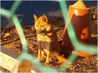 한국일보 : > 한국일보 : 세상을 보는 균형