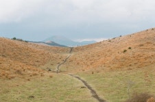 [렌즈로 보는 일상]하와이와 제주의 다른 풍경-라이프ㅣ한국일보