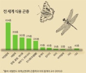 차세대 식량 자원 곤충 | 서울경제 차세대 식량 자원 곤충
