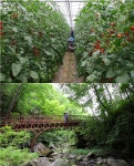 서울경제