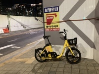 카카오T 바이크 확대에…전동킥보드 왜 역차별 하나 호소 | 서울경제 카카오T 바이크 확대에…전동킥보드 왜 역차별 하나 호소