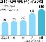 자원개발 기업 독려는 못할망정…野·환경단체, 공적자금 지원중단 요구 | 서울경제 자원개발 기업 독려는 못할망정…野·환경단체, 공적자금... 