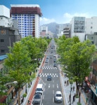 충무로 보행로 1.8배 확대…걷기 좋은 거리 조성 | 서울경제 충무로 보행로 1.8배 확대…걷기 좋은 거리 조성