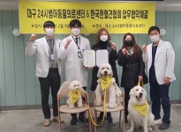개도 헌혈을 한다고? 헌혈견의 자격은 [지구용] | 서울경제 개도 헌혈을 한다고? 헌혈견의 자격은 [지구용]