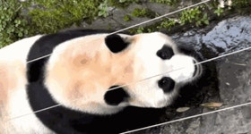 호가뛰고 매물품귀...비규제지역 풍선효과 이어질까 | 서울경제 호가뛰고 매물품귀...비규제지역 풍선효과 이어질까