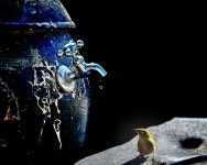 [In Pictures] ‘Steel’ with Us – Official POSCO Group Newsroom [In Pictures] ‘Steel’ with Us