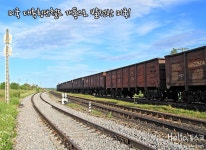 세상에 꽃을 피우는 철 – 포스코그룹 뉴스룸 [철이 미래다] 인류의 생명부터 산업혁명, 근대화까지! 세상에 꽃을 피우는 철