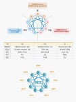 포스코 드림브릿지, 울릉중학교에 가다 – 포스코그룹 뉴스룸 포스코 드림브릿지, 울릉중학교에 가다