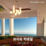 물오리 - DFM 미니 갤러리