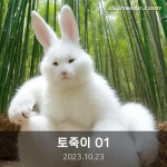 가나다 - AI 이미지 - 애니1 갤러리