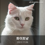 나무마르크 - AI 이미지 - 애니1 갤러리
