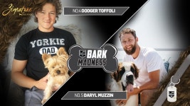 Bark Madness 2018: Elite 8 Voting | LA Kings Dog Tournament