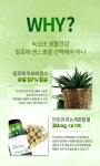 녹십초 알로에 센스쿨 700정 x 2통 / 8개월분 (210gx2) - 사는 게 즐겁다! 롯데닷컴