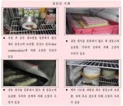 [보고서]업종별 기초위생관리 매뉴얼 개발