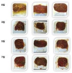 [보고서]고령친화용 한방 연육제 개발