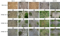 [보고서]백두대간의 지리적 범위구명 및 훼손지의 생태적 복원모델 개발