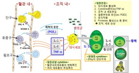 [보고서]수액의 생리화학적 특성 해석 및 자원수종 발굴