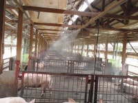 [보고서]축산환경 개선용 미생물제의 현장활용증진 연구