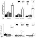 [보고서]Misfolded 또는 불완전하게 assembly된 당단백질의 소포체에서 세포질로의 이동과 세포질에서의 분해 기작 규명