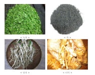 [보고서]생약초를 첨가한 발효떡차 제다 기술개발