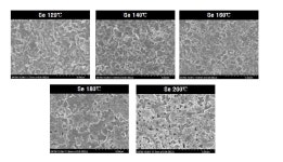 [보고서]범용 소재를 이용한 Se, S계 저가 화합물 박막 태양전지 원천기술 개발