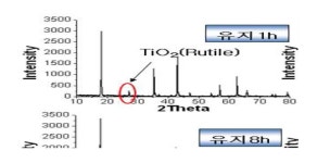 [보고서]고효율 에너지 저장용 나노하이브리드 슈퍼커패시터전극 및 모듈 개발