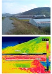 [보고서]태양광 발전소의 주변환경에 미치는 양향 조사.분석
