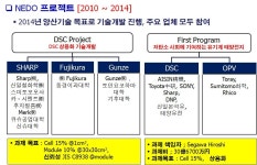 [보고서]고신뢰성 염료감응 태양전지 모듈제조 및 상용화 기술개발