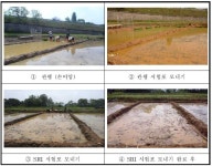 [보고서]용수절약을 위한 SRI 벼재배적용성 연구 (Ⅲ)