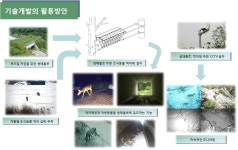 [보고서]고속도로 주변 동물이동통로 조성 및 복원 기술개발