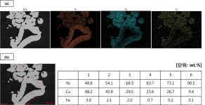 [보고서]고내구성 금속계 bipolar plate 및 다공성 전극 개발