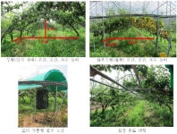 [보고서]배 생산비 절감 정밀·자동화 관리 시스템 개발