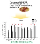 [보고서]병원성대장균 저감화 연구